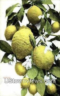 Lemons Misc CA Unused