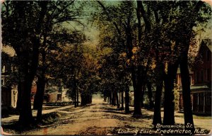 Tuck Postcard NB Fredericton Brunswick Street Looking East Big Trees 1927 S105