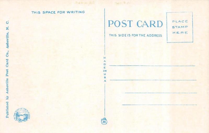 VA, Covington    WEST VIRGINIA PULP & PAPER MILLS   c1940's Linen Postcard