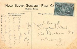 Old Willows Tree Shelburne, Nova Scotia, Canada 1908 Vintage Postcard