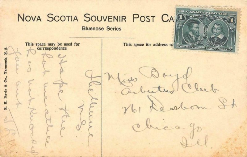 Old Willows Tree Shelburne, Nova Scotia, Canada 1908 Vintage Postcard