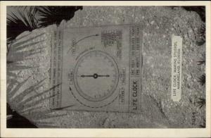 Marineland FL Marine Studios Life Clock c1940s Postcard