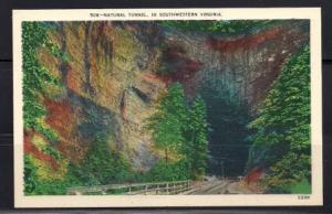 Virginia, Natural Tunnel (VC 0598)