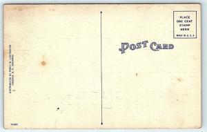 Postcard Large Letter Greetings from Nassau Bahamas