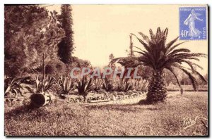 Old Postcard Hyeres Garden Olbius Riquier type of local flora