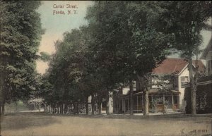 Fonda New York NY Center Street c1910 Vintage Postcard