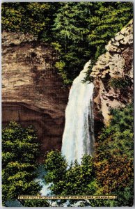 Arkansas, Cedar Falls on Cedar Creek, Petit Jean State Park, Vintage Postcard