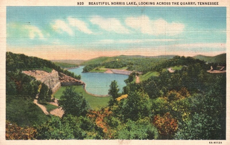 Vintage Postcard Beautiful Norris Lake Forest Looking Across Quarry Tennessee TN