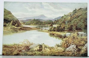 Scotland Loch Ard Arberfoyle Artist  LW Fraser Beautiful Scenic Postcard D18