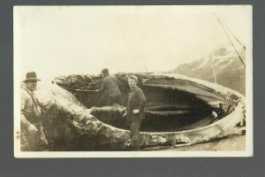 San Clemente Island CALIFORNIA RP 1930 WHALING Finback CUTTING UP WHALE Fishing