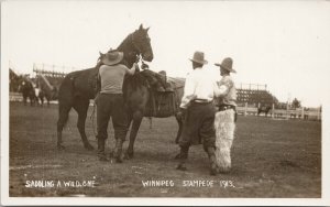 Winnipeg Stampede 1913 'Saddling A Wild One' Rodeo MB Lyall RPPC Postcard E67 