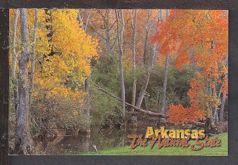 Fall Scene in AR Postcard BIN