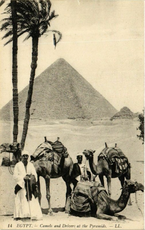 CPA AK Camels and Drivers at the Pyramids ALGERIE (874027)