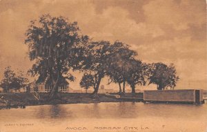 Morgan City Louisiana Avoca, Sepia Tone Lithograph Vintage Postcard U9412