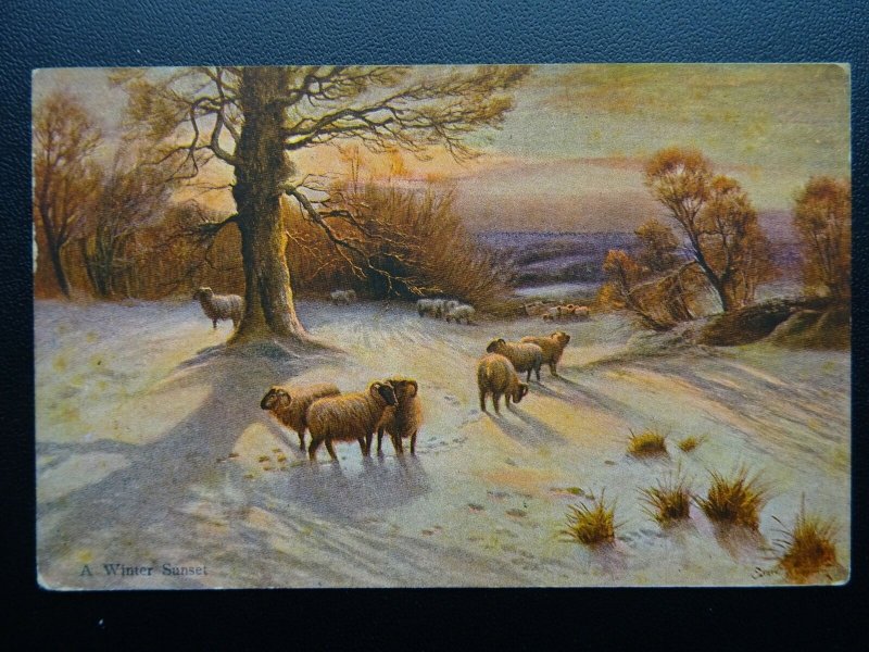 WINTER SCENE & FLOCK OF SHEEP Farming & Country Life c1905 Postcard