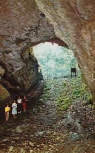 Kentucky Mammoth Cave National Park Cave Entrance