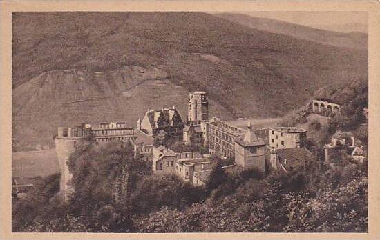 Germany Heidelberg Das Schloss von der Molkenkur gesehen