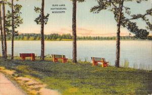 Hattiesburg Mississippi Elks Lake Street View Antique Postcard K47245