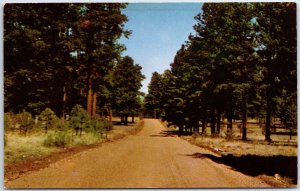 VINTAGE POSTCARD RURAL THOROUGHFARE AT HASTINGS MICHIGAN