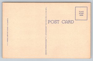 Kentucky  Jas. H. Mulligan   Horse   Postcard