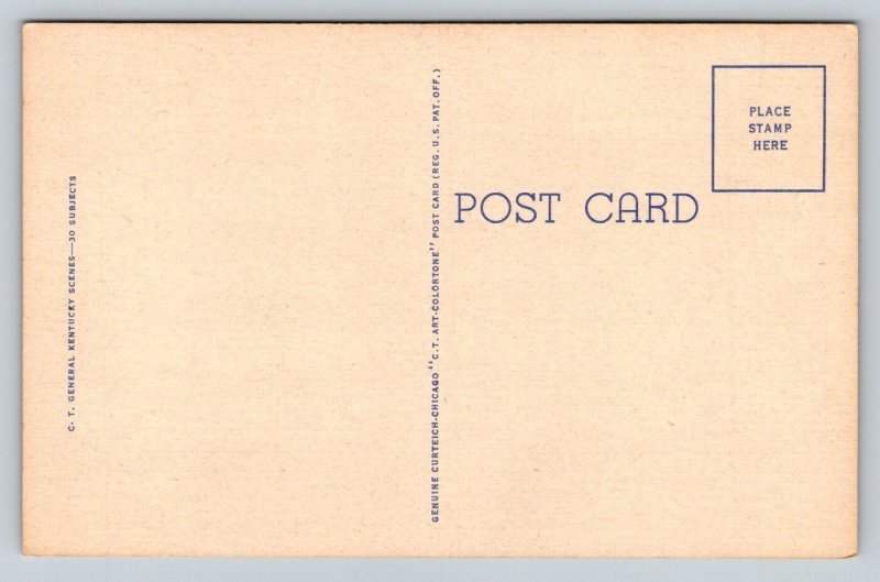 Kentucky  Jas. H. Mulligan   Horse   Postcard