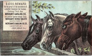 1880's Merchant's Gargling Oil Horses Victorian Trade Card F65 