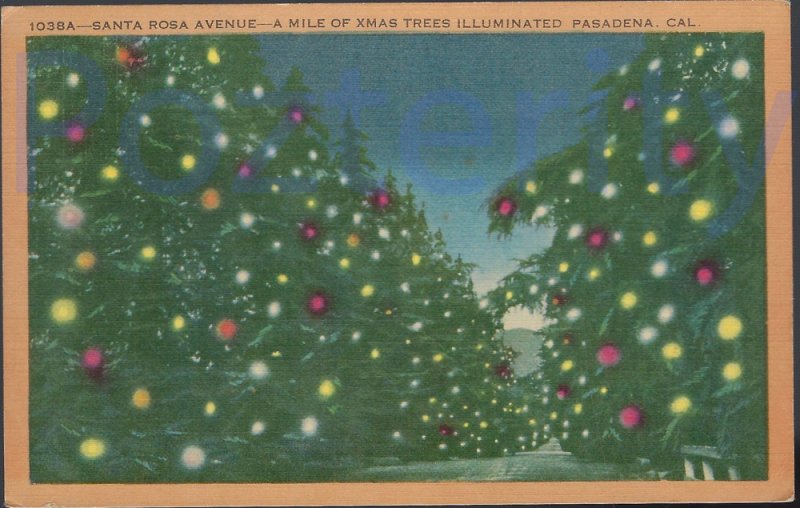 SANTA ROSA AVENUE A MILE OF XMAS TREES ILLUMINATED 1949  #2 PASADENA CALIFORNIA