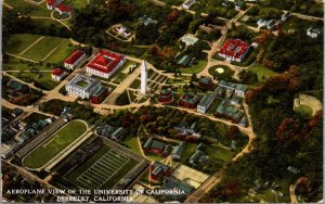 Postcard Aerial View of the University of California Campus Berkeley