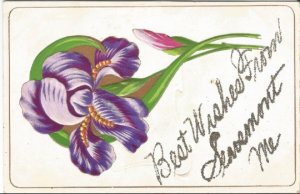 Royal Purple Iris Best Wishes from Searsmont Maine Glitter Embossed Postcard