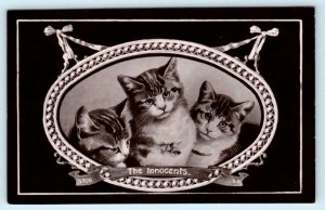 RPPC Cat Postcard THE INNOCENTS  Three Kittens - Davidson Bros. ca 1910s