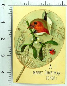 Lovely China Scene Bird Fans Ladybug Merry Christmas Victorian Card D2