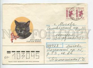 447806 RUSSIA 1990 year Usova british blue cat 1994 real posted COVER