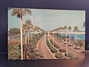 Postcard  Memorial Highway in  Clearwater, FL         X9