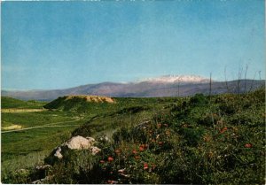 CPM Upper Galilee - Hazor Hill and Mt. Hermon ISRAEL (1030312)