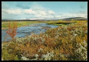 Host over Finnmarksvidda