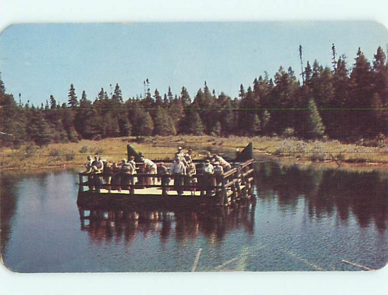 1951 Dock At Kitch-Iti-Ki-Pi Spring Manistique Michigan MI v5860