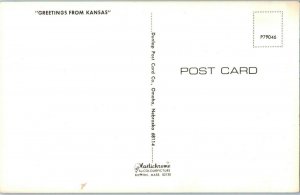 Greetings from Kansas w Cows & Farm Postcard