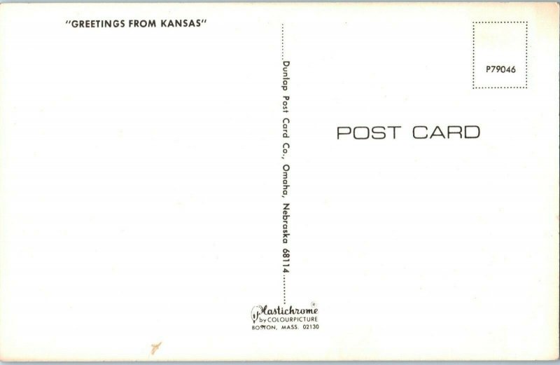 Greetings from Kansas w Cows & Farm Postcard