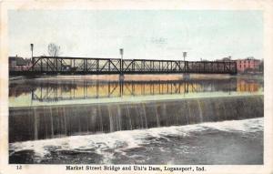 Logansport Indiana~Market Street Bridge & Uhl's Dam~Houses on Shore~1908 Pc