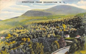 Greetings from Saugerties, New York  