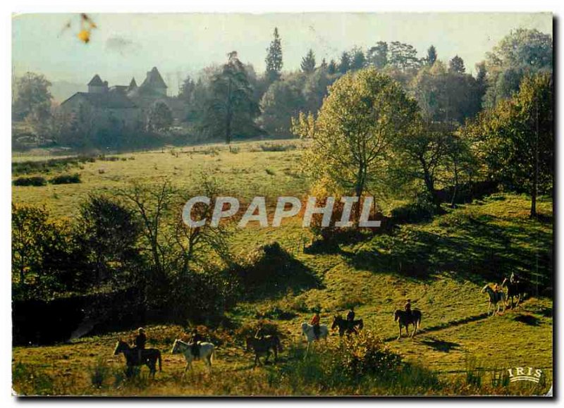 Postcard Modern Equestrian Walk In Limousin