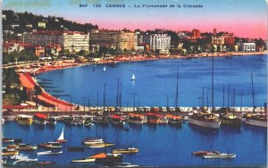 France Cannes La Promenade de la Croisette Vintage Postcard 09.11