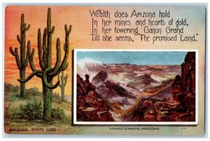 c1910 Grand Canon Arizona State Card Cactus Mountains Arizona Vintage Postcard