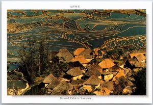 VINTAGE CHINA ILLUSTRATED MAXIMUM POSTCARD YUNNAN SCENE TERRACED FIELDS YUANYANG