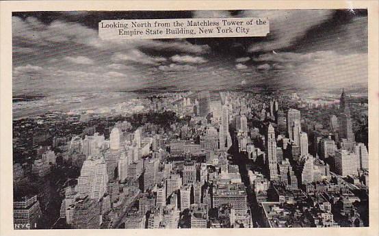 Looking North From The Matchless Tower Of The Empire State Building New York ...