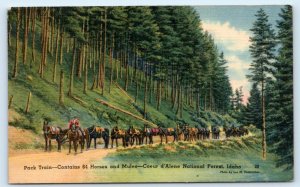 COEUR d' ALENE NATIONAL FOREST, ID Idaho ~ Fire Watch PACK TRAIN c1940s Postcard