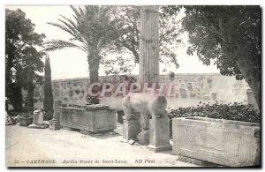 Old Postcard Tunisia Carthage Garden Museum St. Louis Horse Horse