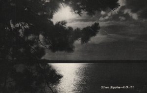 Vintage Postcard Fir Tree Scenic Lake Sunset Scene Escanaba MI Silver Ripples