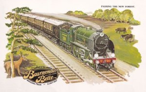 Bournemouth Belle 1931 Poster New Forest Train Advertising Postcard
