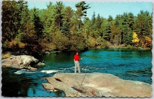 Greetings From Grand Falls New Brunswick Canada Trout Fishing Postcard